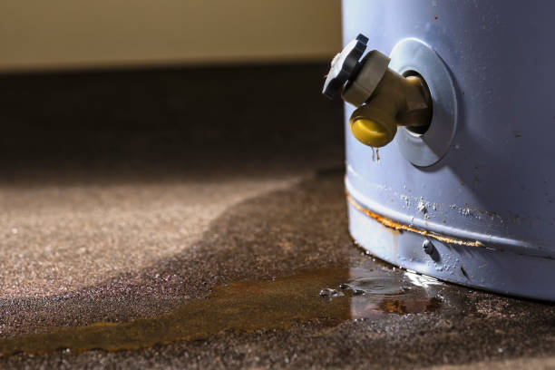 Best Mold removal after water damage  in Fort Drum, NY