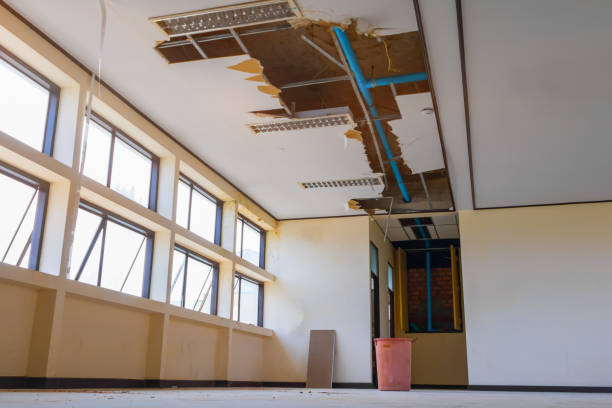 Best Water damage contractors near me  in Fort Drum, NY