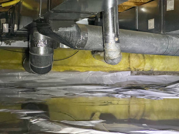 Best Carpet water damage restoration  in Fort Drum, NY