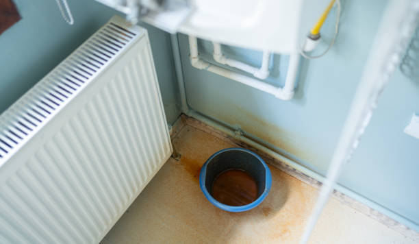 Best Water damage cleanup near me  in Fort Drum, NY